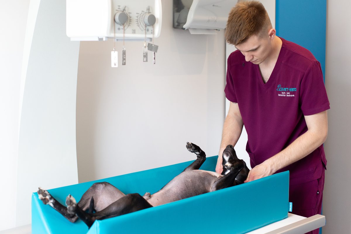 Diagnostyka radiologiczna