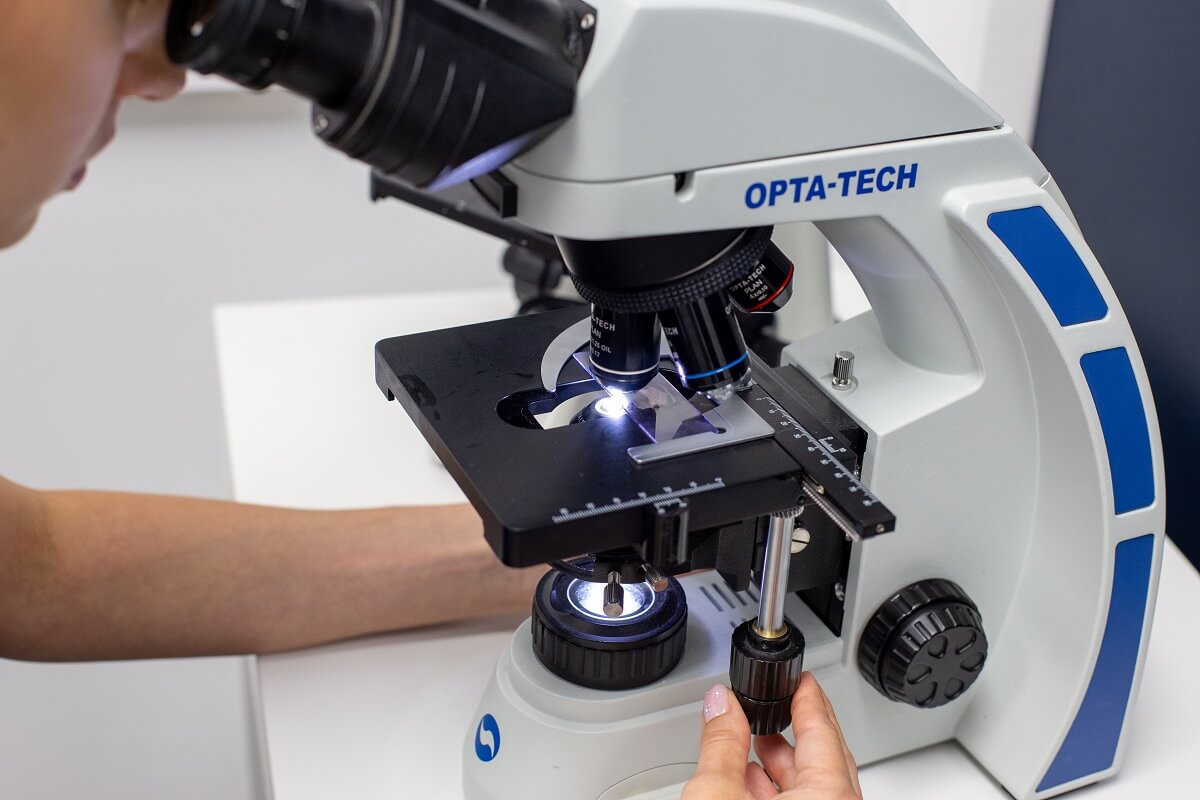 Przychodnia VET MED - hematologia