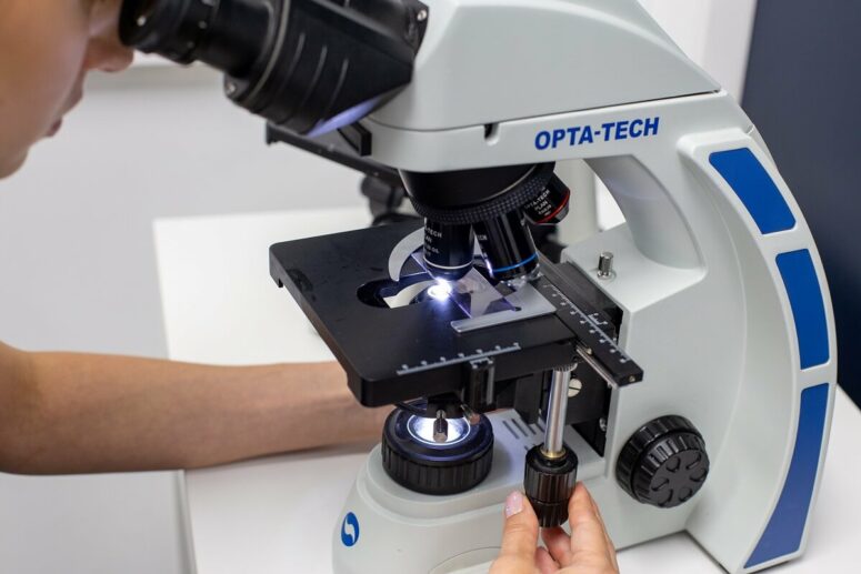 Przychodnia VET MED - hematologia