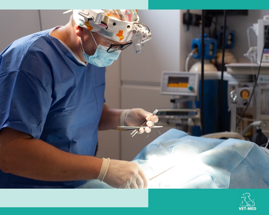 Przychodnia Weterynaryjna Vet-Med Suchy Las