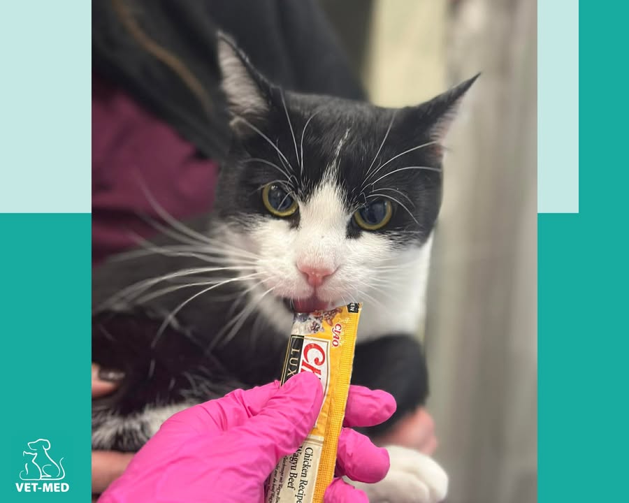 Przychodnia Weterynaryjna Vet-Med Suchy Las