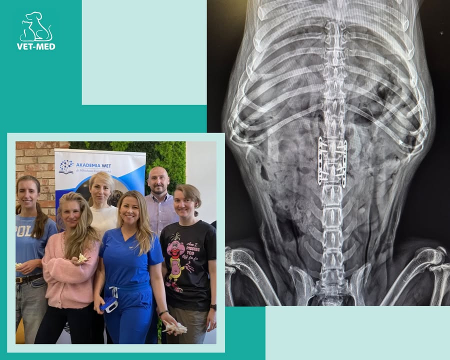 Przychodnia Weterynaryjna Vet-Med Suchy Las