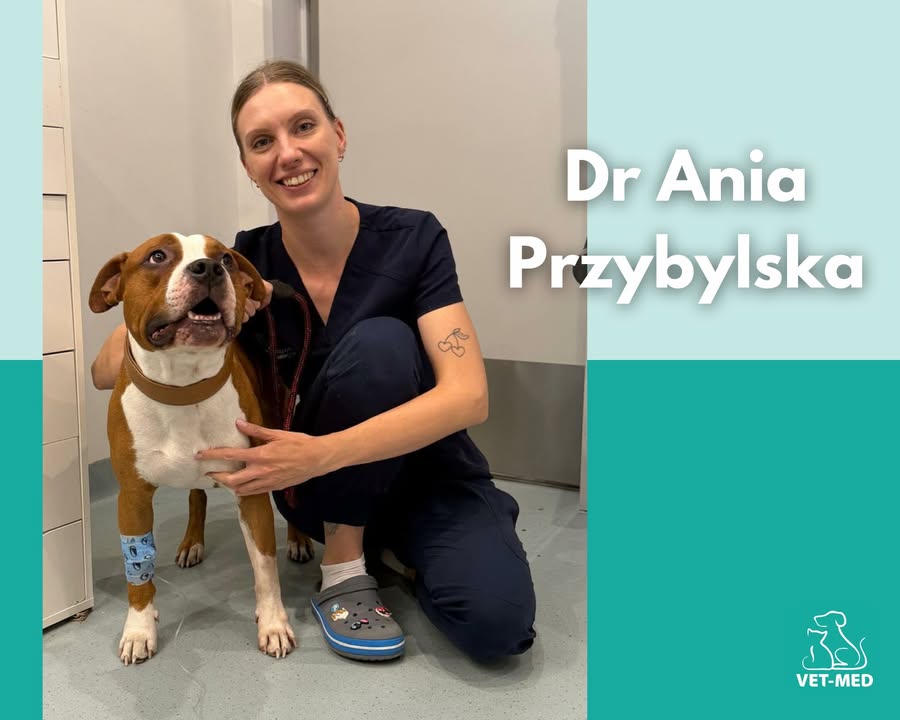 Przychodnia Weterynaryjna Vet-Med Suchy Las